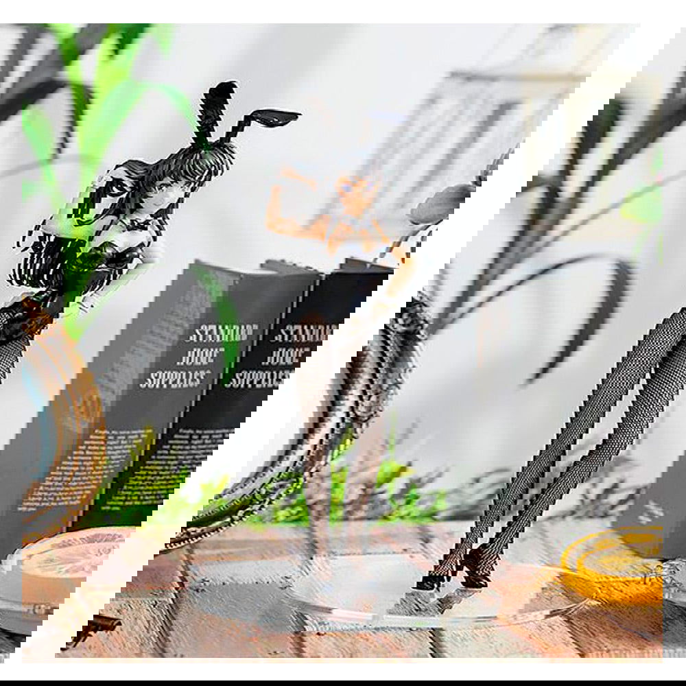 FIGURA KADOKAWA COLLECTION LIGHT MAI SAKURAJIMA BUNNY VER. - IRION Juguetería -