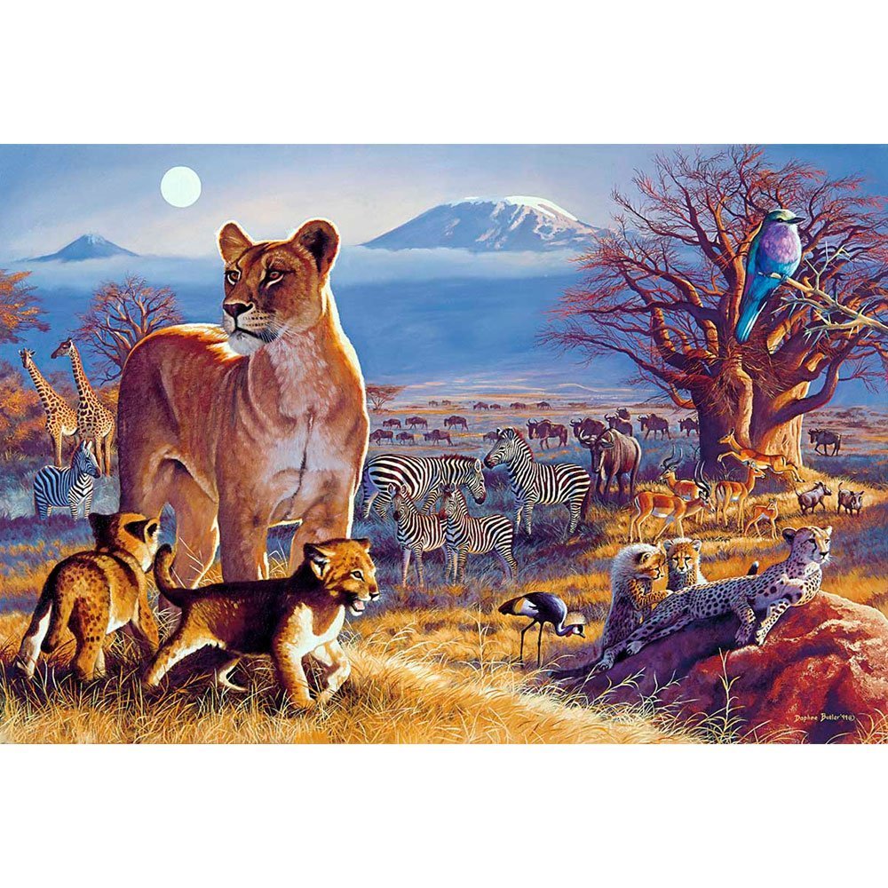 PUZZLE TOMAX 1000 PIEZAS WILDLIFE DAPHNE BUTLER