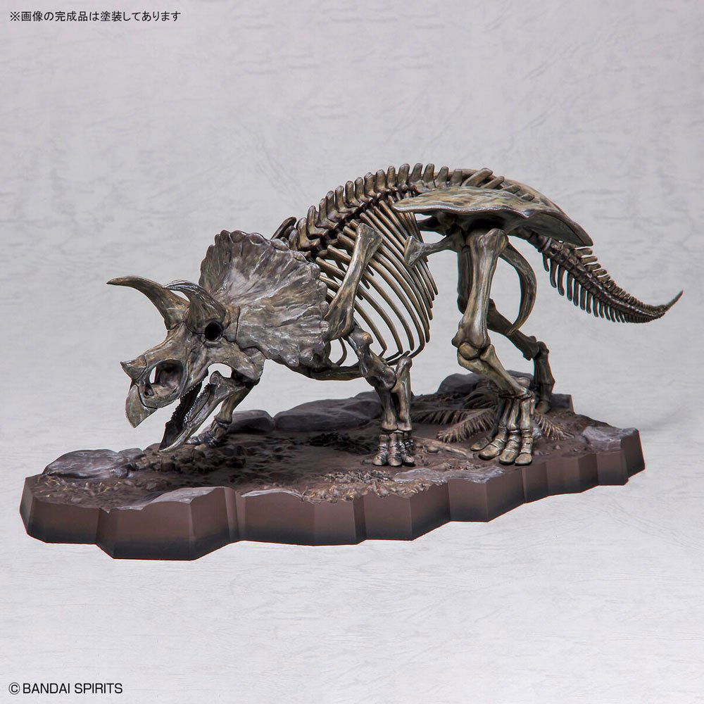 BANDAI IMAGINARY SKELETON TRICERATOPS 1/32 - IRION Juguetería - 