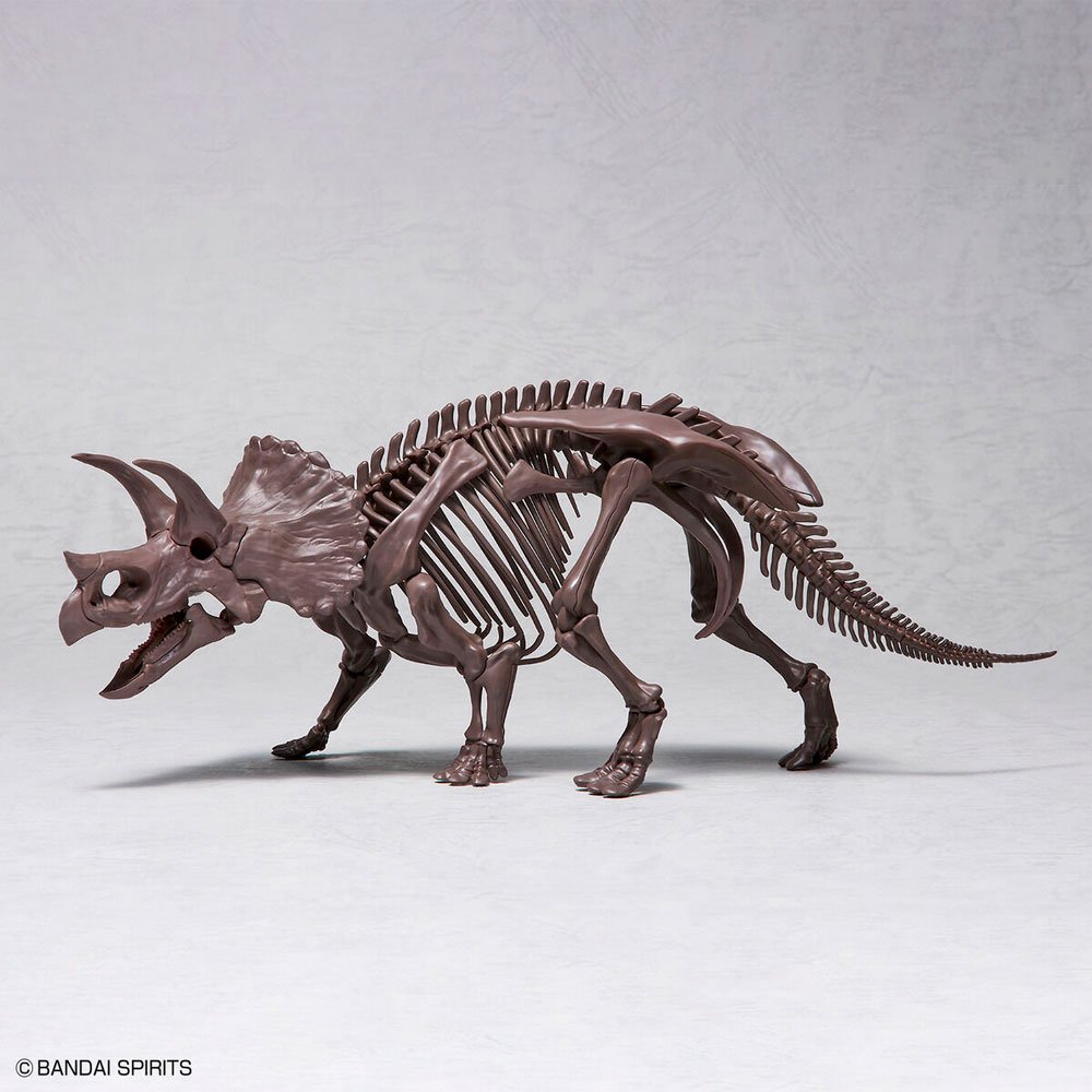 BANDAI IMAGINARY SKELETON TRICERATOPS 1/32 - IRION Juguetería - 