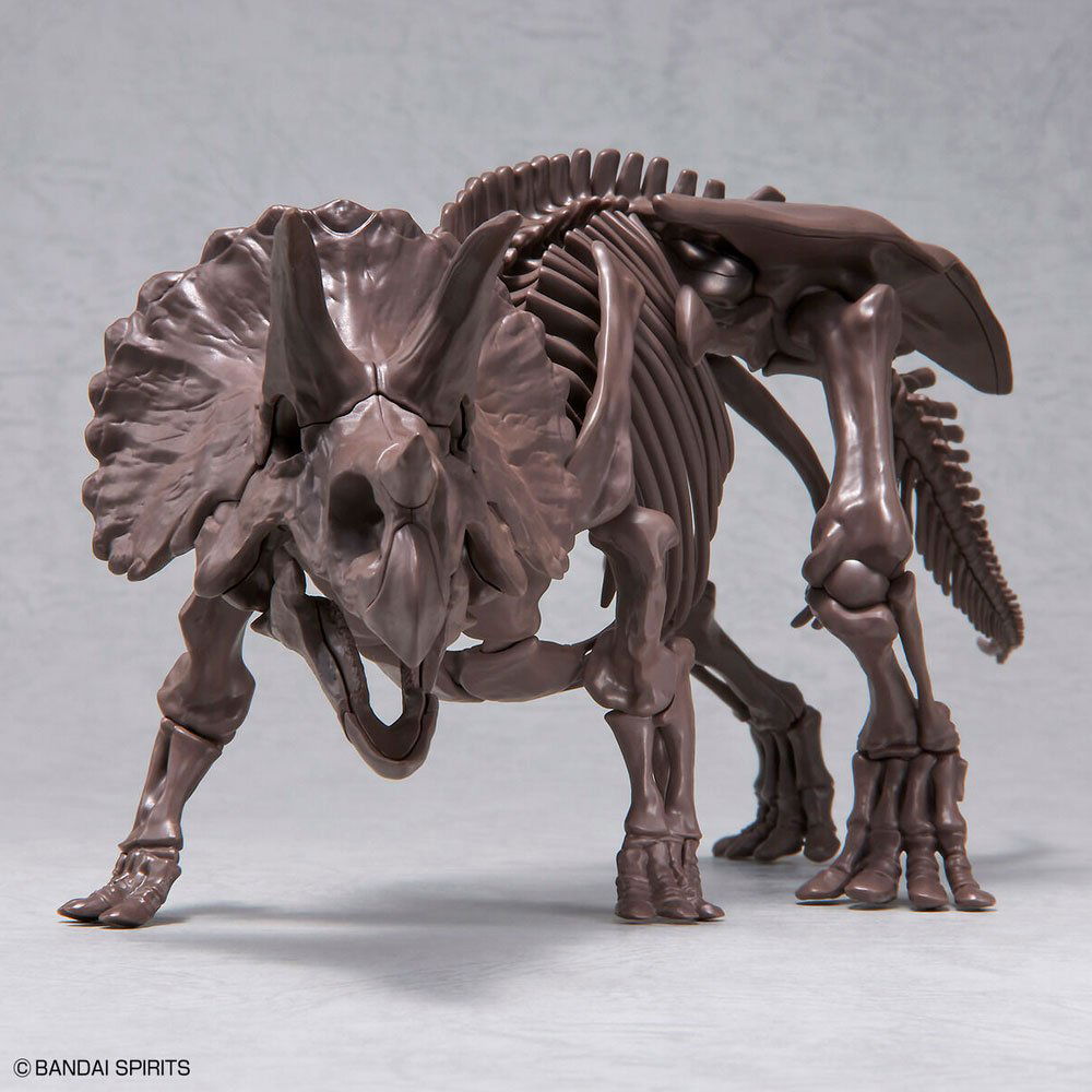 BANDAI IMAGINARY SKELETON TRICERATOPS 1/32 - IRION Juguetería - 