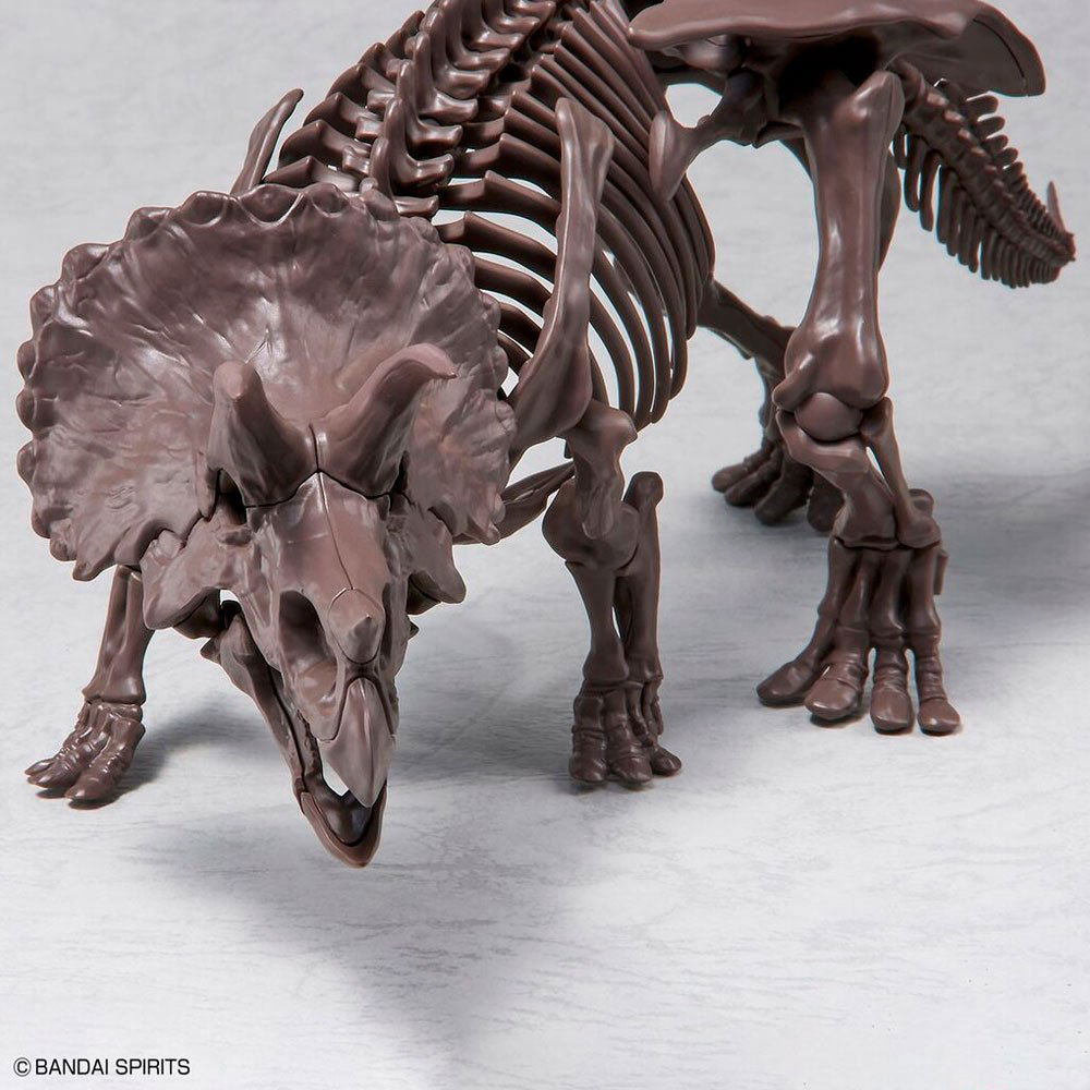 BANDAI IMAGINARY SKELETON TRICERATOPS 1/32 - IRION Juguetería - 