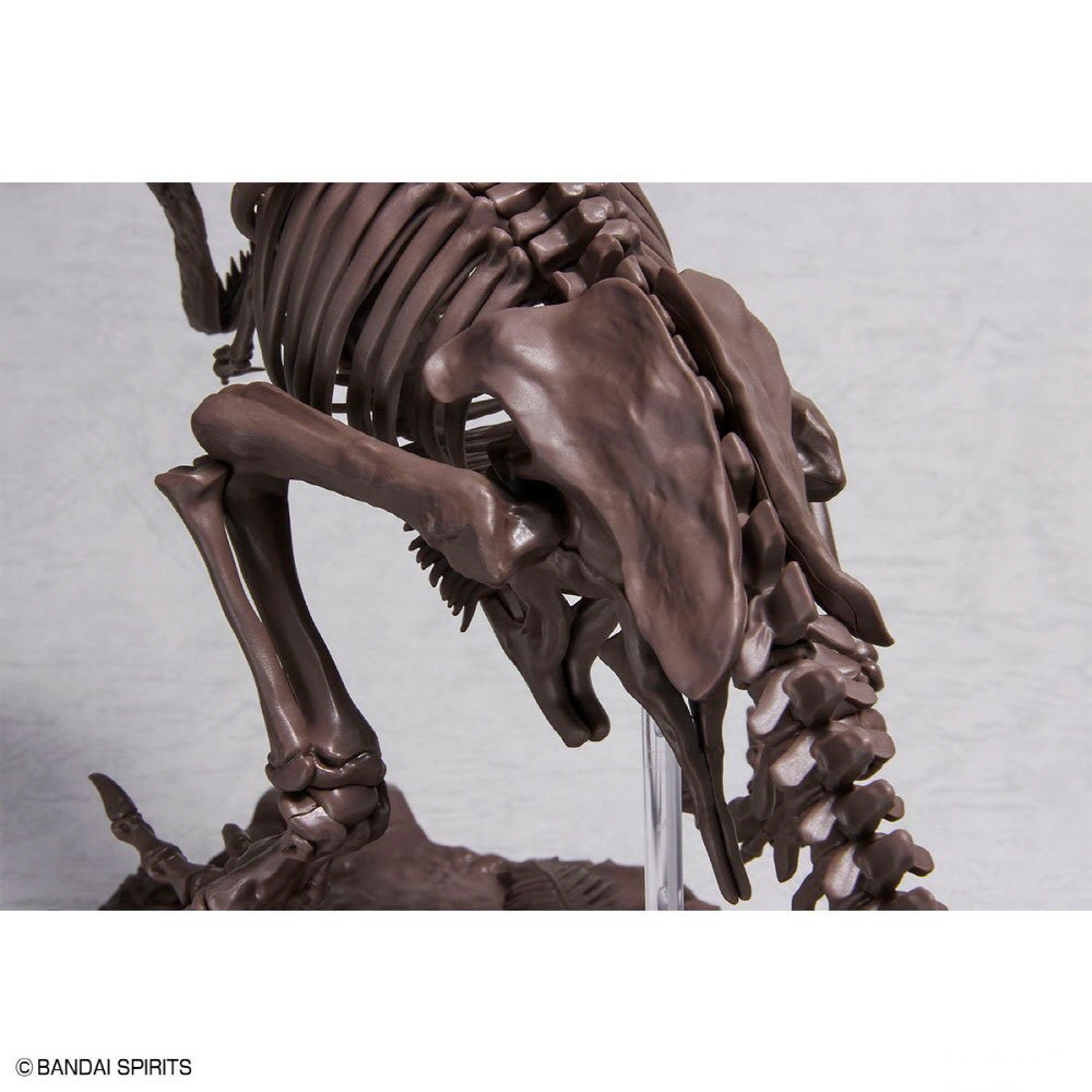 BANDAI IMAGINARY SKELETON TYRANNOSAURUS 1/32 - IRION Juguetería - 