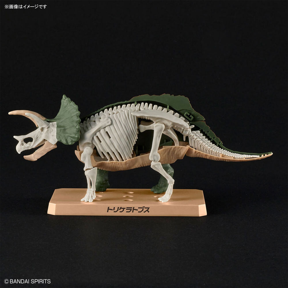 BANDAI PLANNOSAURUS TRICERATOPS - IRION Juguetería - 