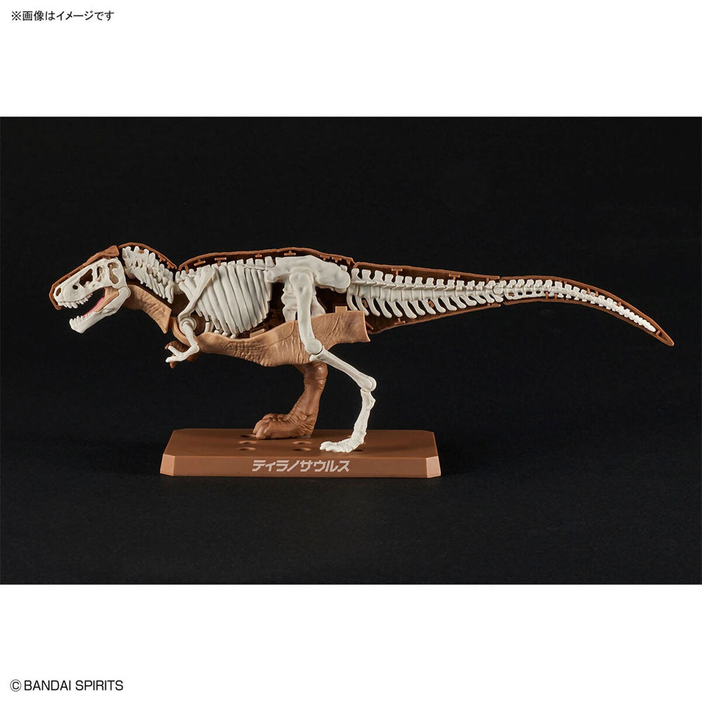 BANDAI PLANNOSAURUS TYRANNOSAURUS - IRION Juguetería - 