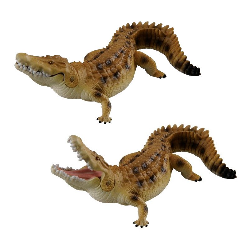 COCODRILO DE AGUA SALADA  ANIA AS-32 | TAKARA TOMY - IRION Juguetería - 