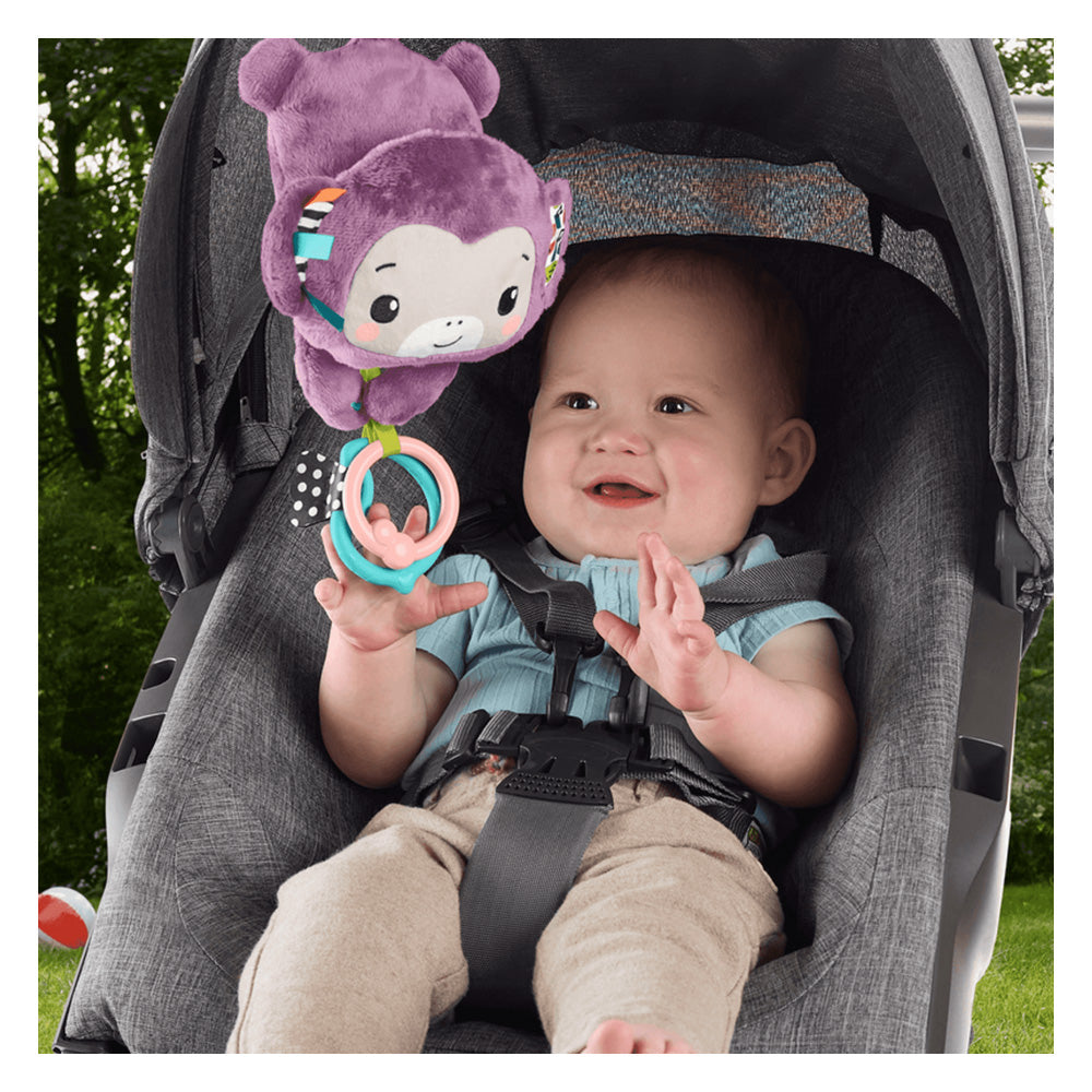 PELUCHE PARA BEBÉS CHANGUITO MUSICAL | FISHER PRICE