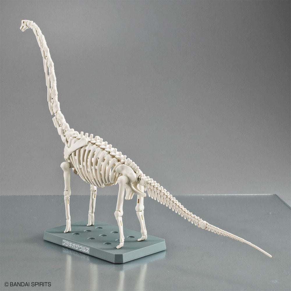 BANDAI PLANNOSAURUS BRACHIOSAURUS