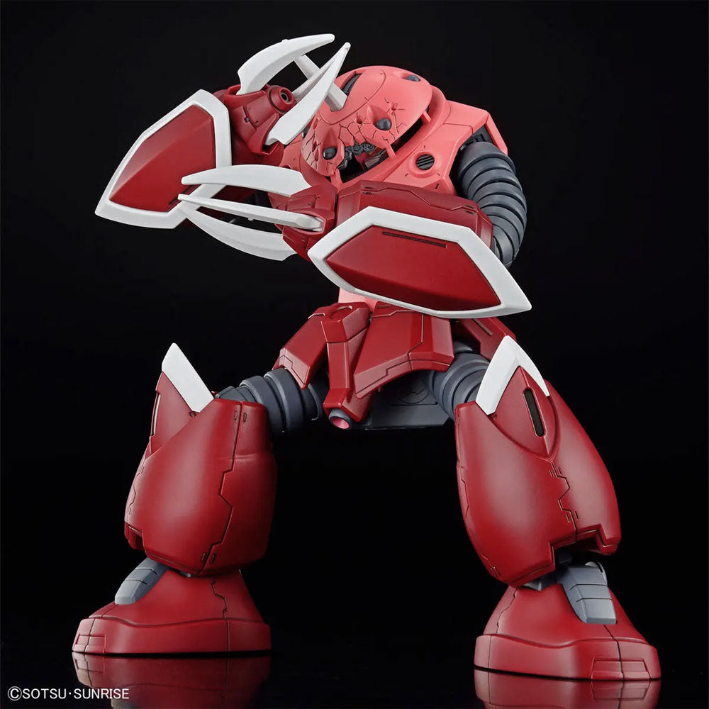 BANDAI HG Z'GOK SEED FREEDOM VER. – IRION Juguetería
