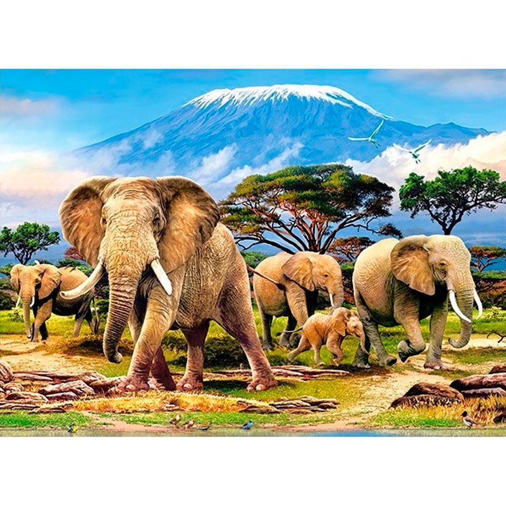 PUZZLE CASTORLAND 1000 PIEZAS KILIMANJARO MORNING