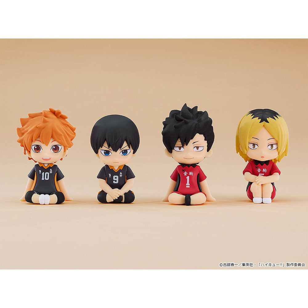 FIGURA NENDOROID PLUS SHOYO HINATA RUBBER MASCOT